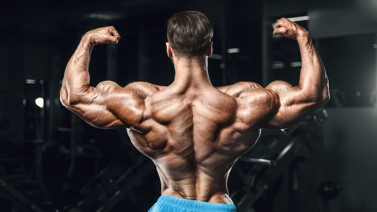 Are Bodybuilding Gyms Being Abandoned by the Fitness Industry