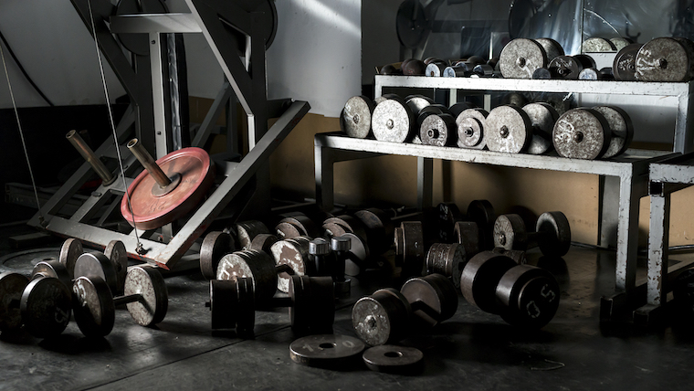 The Lat Pulldown vs. the Pull-Up — Which Is Better for Back Gains?