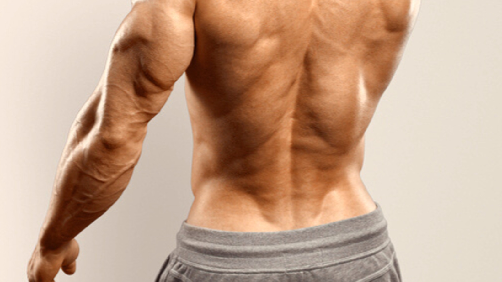 Get A Smaller Waist With Back Training - V Shred