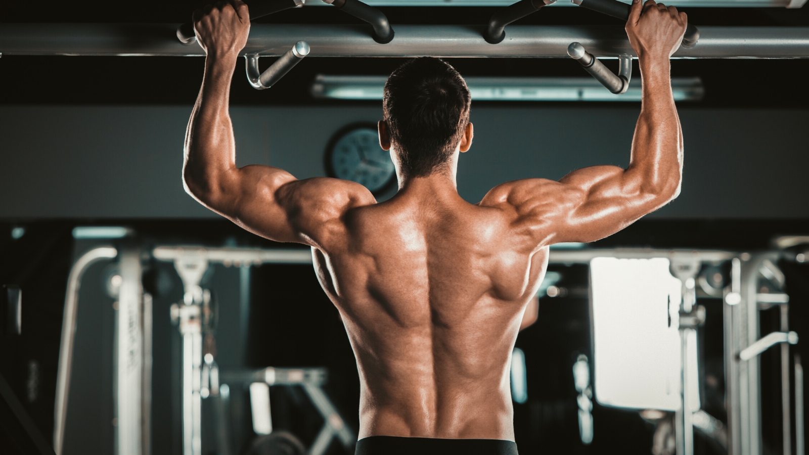 Anatomy of Growth: How to Train Your Back Muscles