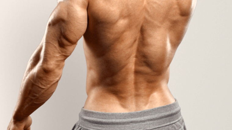 A bodybuilder's lower back.