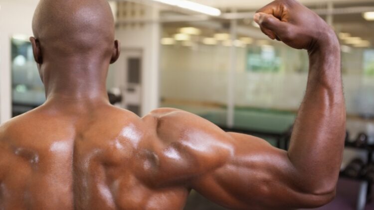 A bodybuilder's shoulder and biceps.