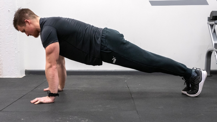 A person doing a standard plank
