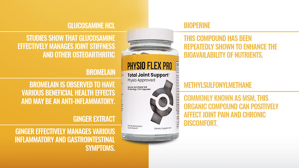Physio Flex Pro Static Image