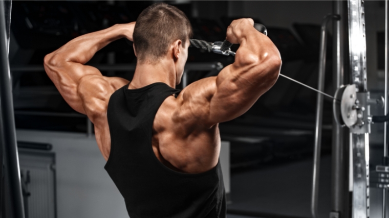 A person working on their delts using a cable machine.