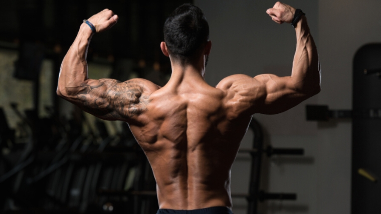 A shirtless bodybuilder's muscular back.