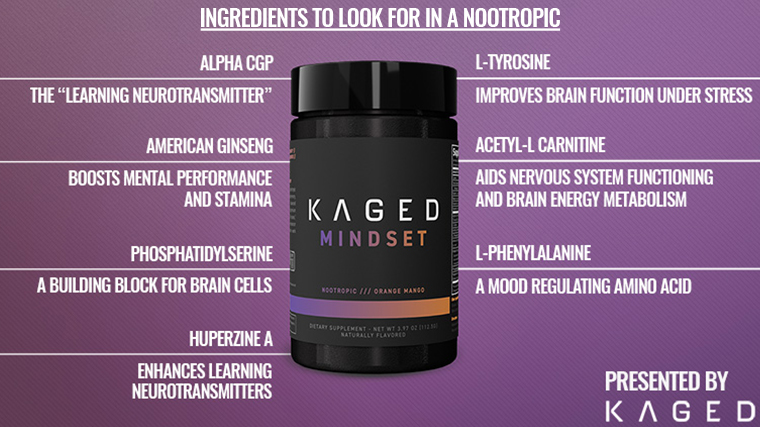 Ingredients to look for in a Nootropic