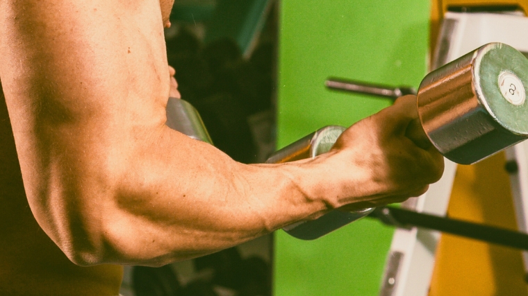A muscular arm holding a dumbbell.