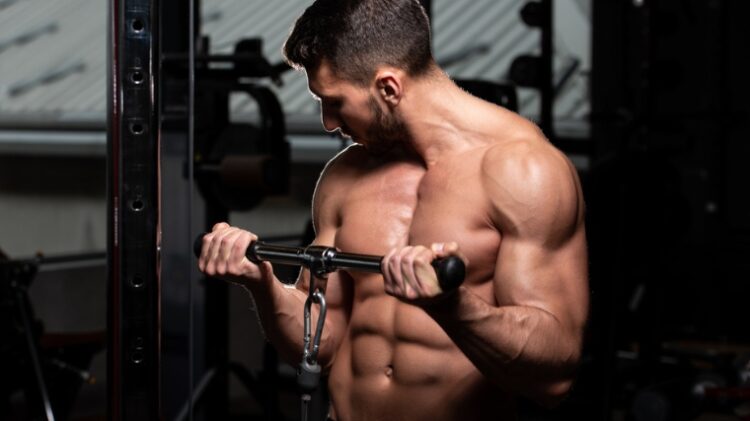 How to Do the Cable Biceps Curl for the Best Arm Pump You've Ever Had ...