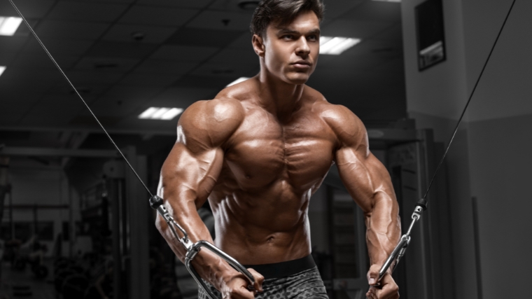 The Best Chest Exercises for Building a Broad, Strong Upper Body -  GymGuider.com