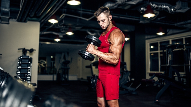 The Best Muscle Group Training Combos – Fitness Volt