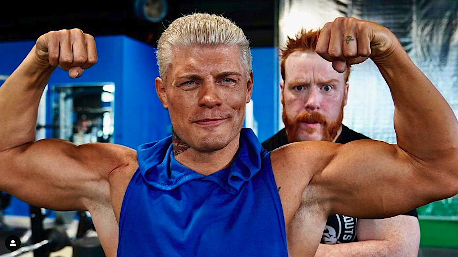 WrestleMania Ready — WWE's Cody Rhodes and Sheamus' Full Body Supersets  Workout | BarBend