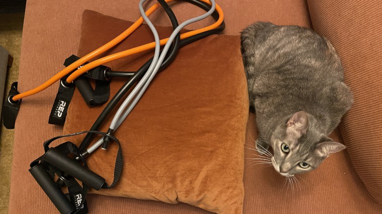 REP Fitness Tube Resistance Bands are shown on an orange couch next to a kitty cat.