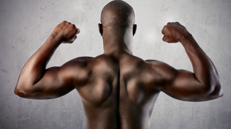 A person's back with arms flexed.