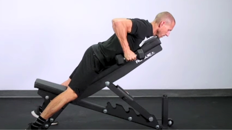 dumbbell chest supported row