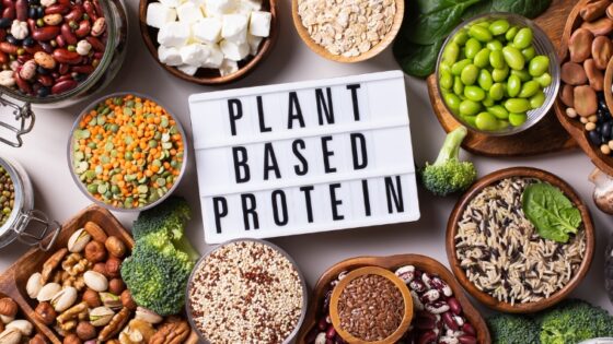 Whey Protein vs. Plant Protein — Similarities, Differences, and ...