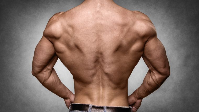 The Anatomy of Your Back Muscles, Explained (and How to Train Them)
