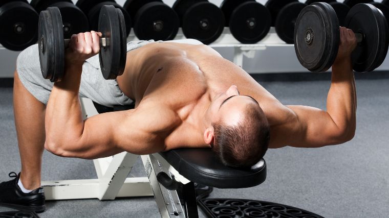 Build a Titanic Torso with These Bodybuilding Chest & Back Workouts