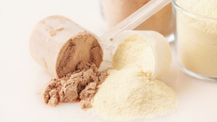 Grass-fed whey protein powder spilling out from two scoops.