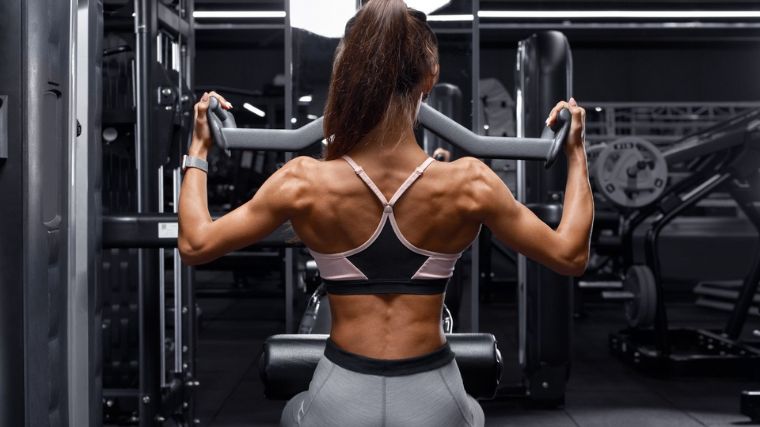 Back workout lat discount pulldown