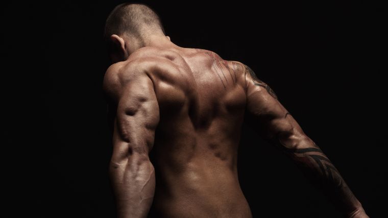 A bodybuilder's trapezius muscles.