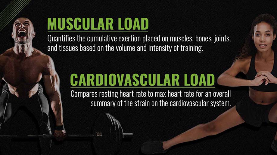Muscular load vs. cardiovascular load