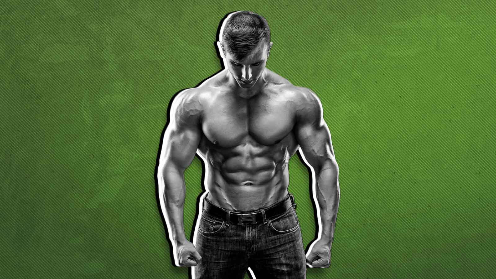 The Anatomy Of Your Chest Muscles Explained and How To Train Them 