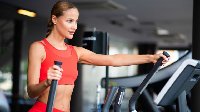 Treadmills, Ellipticals, Strength and Cardio Equipment for your