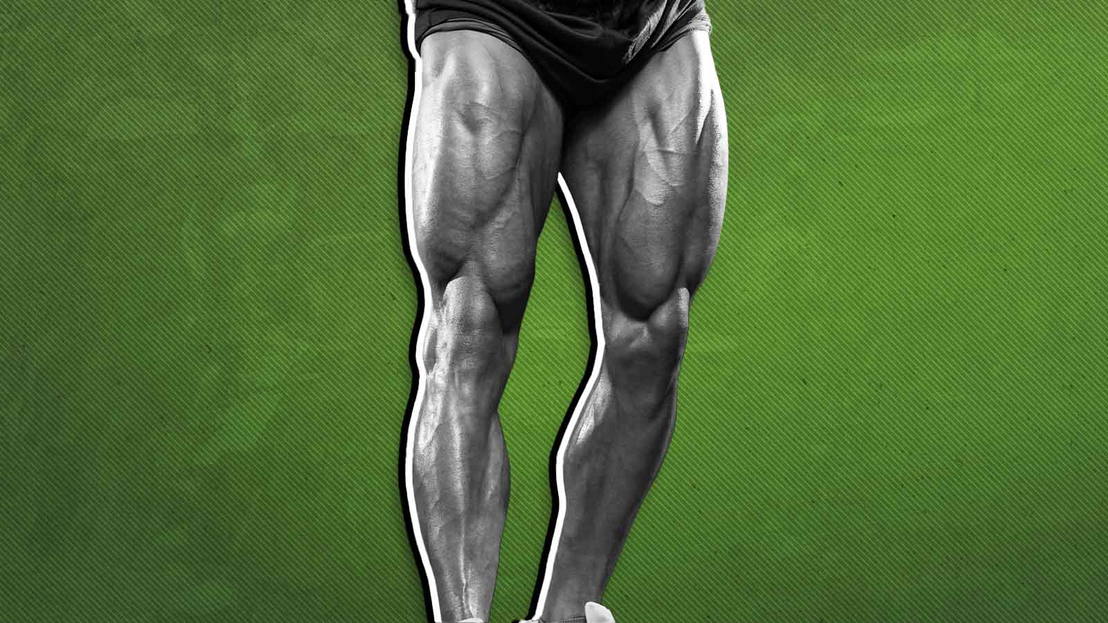 The Anatomy of Your Leg Muscles, Explained (and How To Train Them)