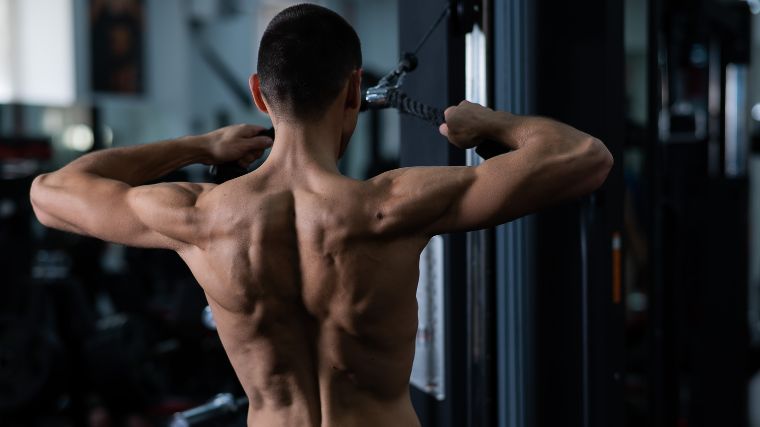 The Best Back and Shoulder Workout: Muscle-Building For Every Experience  Level