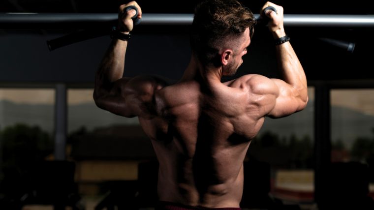 A Biceps Workouts Without Weights: Is It Possible?