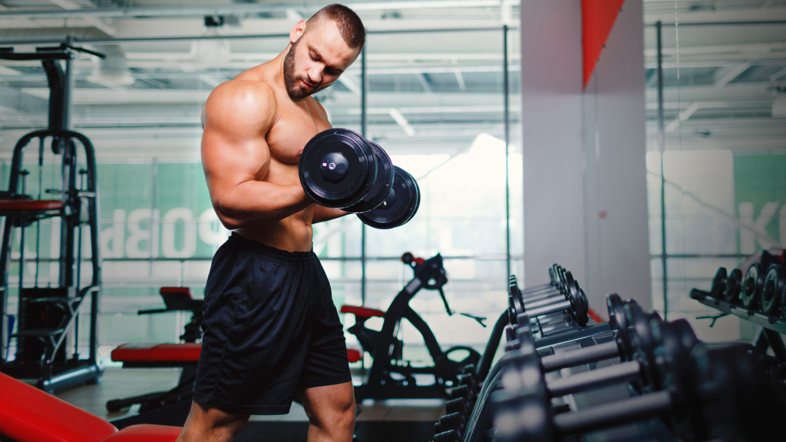 The 15 Best Shoulder Exercises for Building Muscle