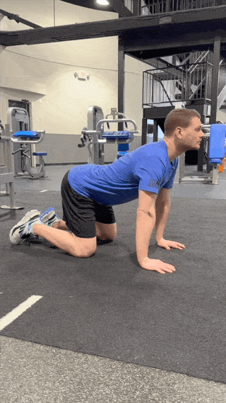 A person doing the cat-cow movement as one of the best lower back exercises.