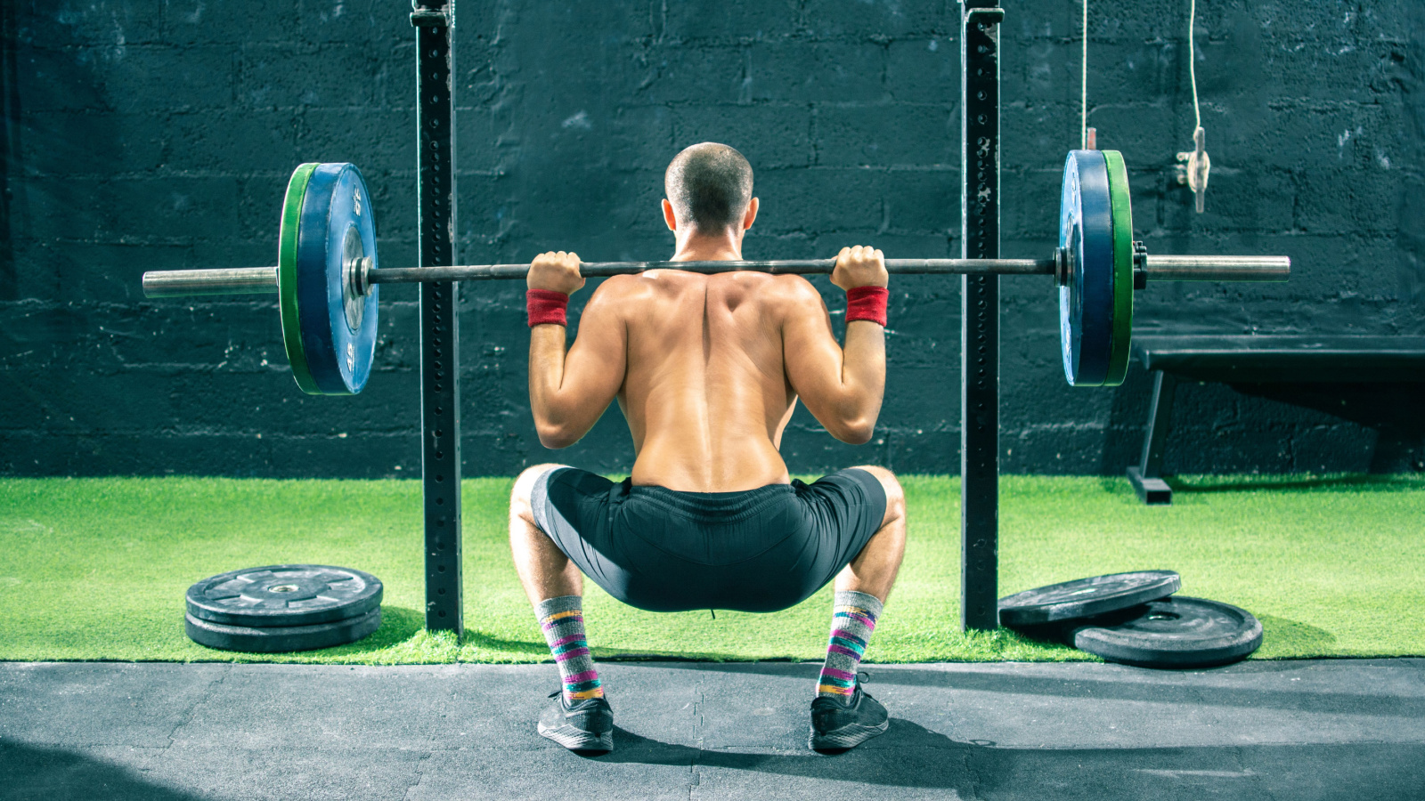 Barbell back Squat