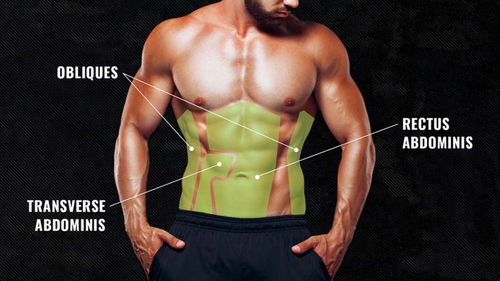 Your Abdominal Muscles, Explained (and How To Train Them)