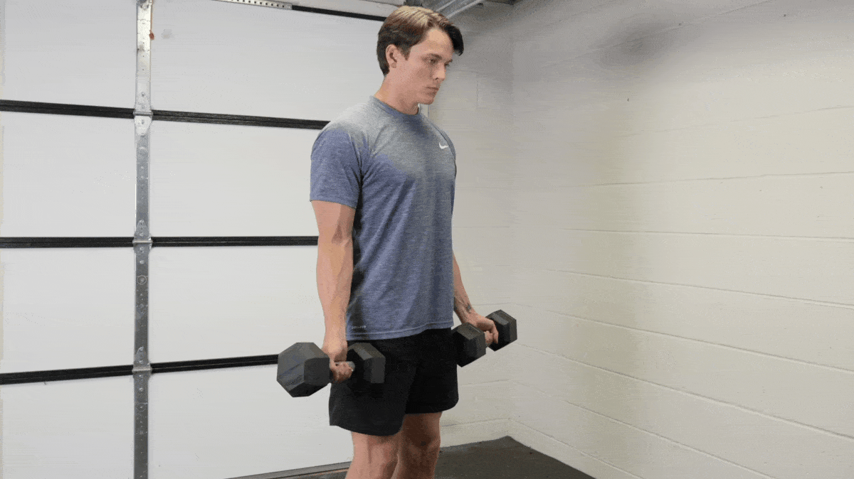 A person performing the dumbbell biceps curl.