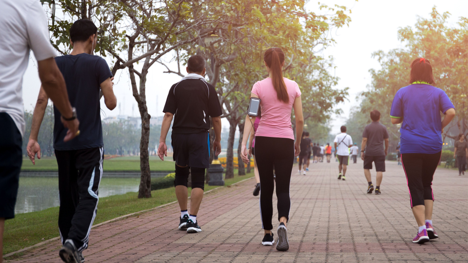 Is 10,000 Really the Magic Number? The Science Behind Taking 10,000 ...