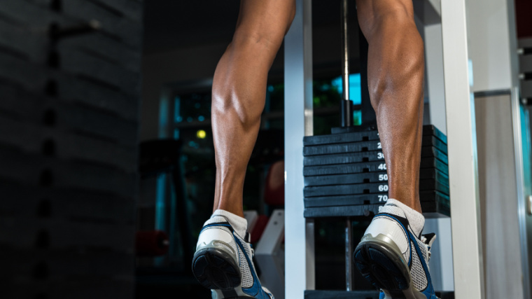 A man contracts his calves on the standing calf raise machine. 