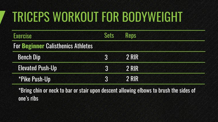 The Best Triceps Exercises and Workout for Bodyweight - For Beginner Calisthenics Athletes chart.