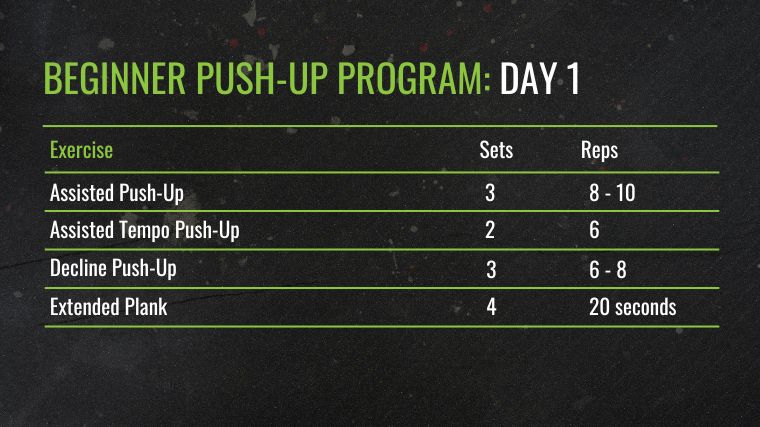 The BEGINNER Push-Up Program: Day 1 chart.