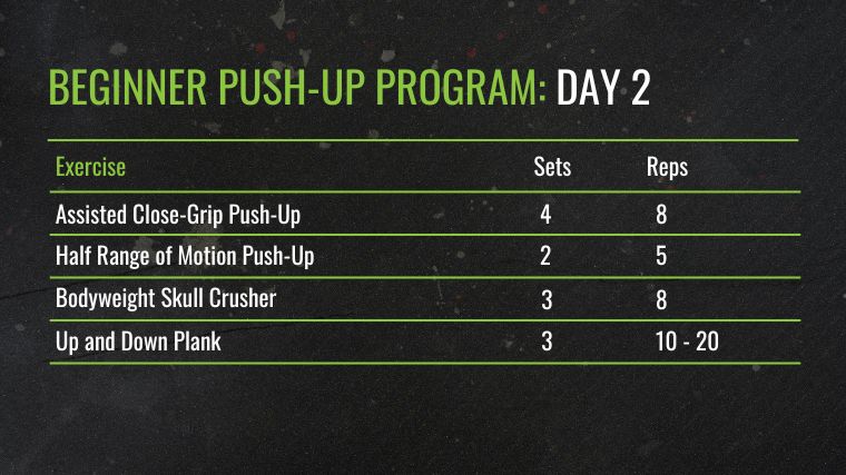 The BEGINNER Push-Up Program: Day 2 chart.