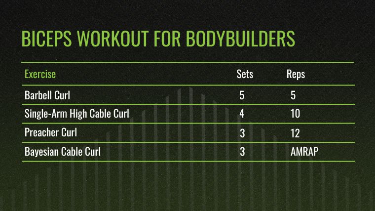 The Biceps Workout for Bodybuilders chart.