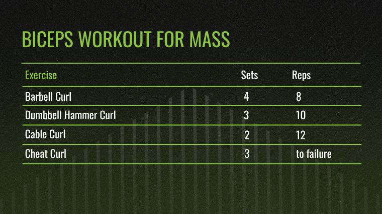 The Biceps Workout for Mass chart.
