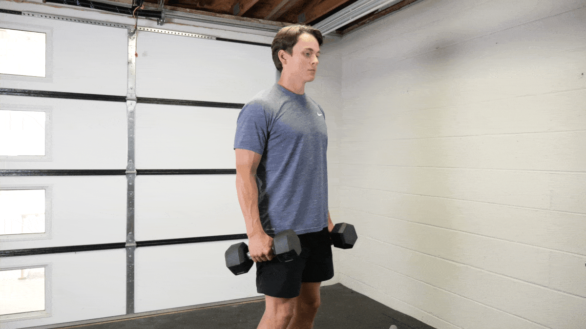 A person performing the dumbbell hammer curl exercise.