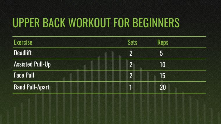 The Upper Back Workout for Beginners chart.