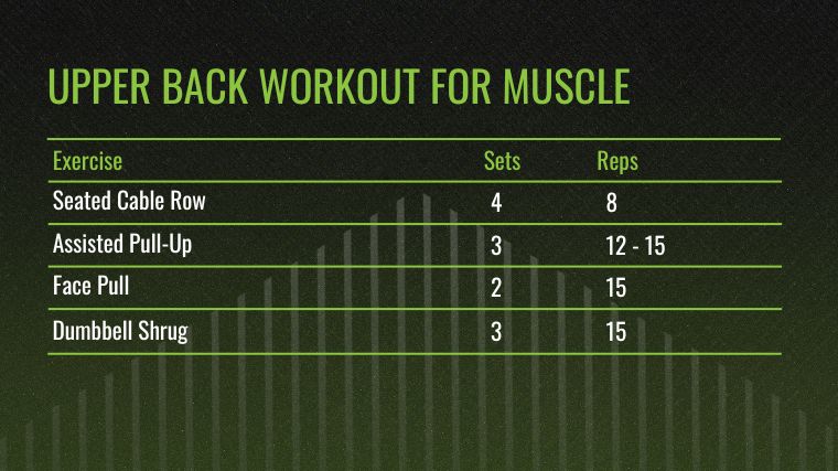 The Upper Back Workout for Muscle chart.