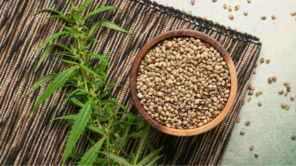Are Hemp Seeds Worth the Hype? Here Are 3 Science-Backed Benefits of Hemp Seeds
