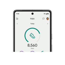 Fitbit App