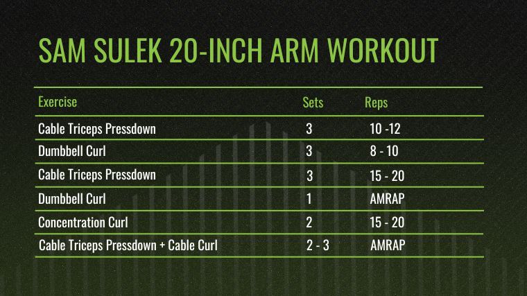 Sam Sulek 20-Inch Arm Workout