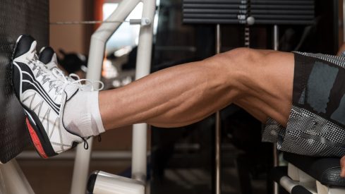 The “4+1” Protocol for Easy-Mode Calf Gains